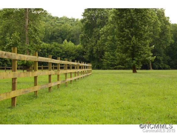 Lot 14 Rambling Creek Road, Unit 14 Tryon, NC 28782 - Photo 6 of 10