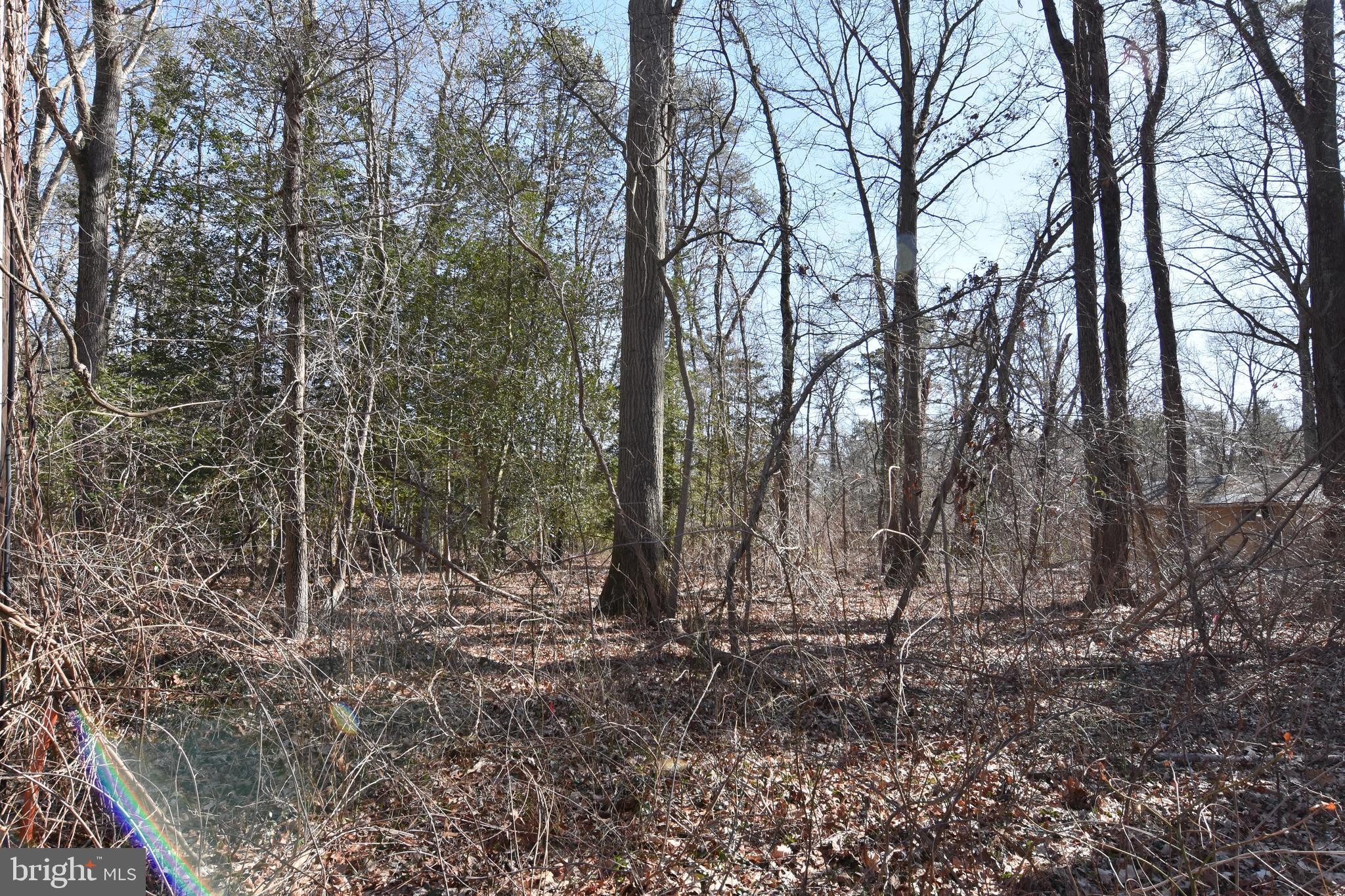 91 Beacrane Road Pasadena, MD 21122 - Photo 9 of 15 Gallery Image 9