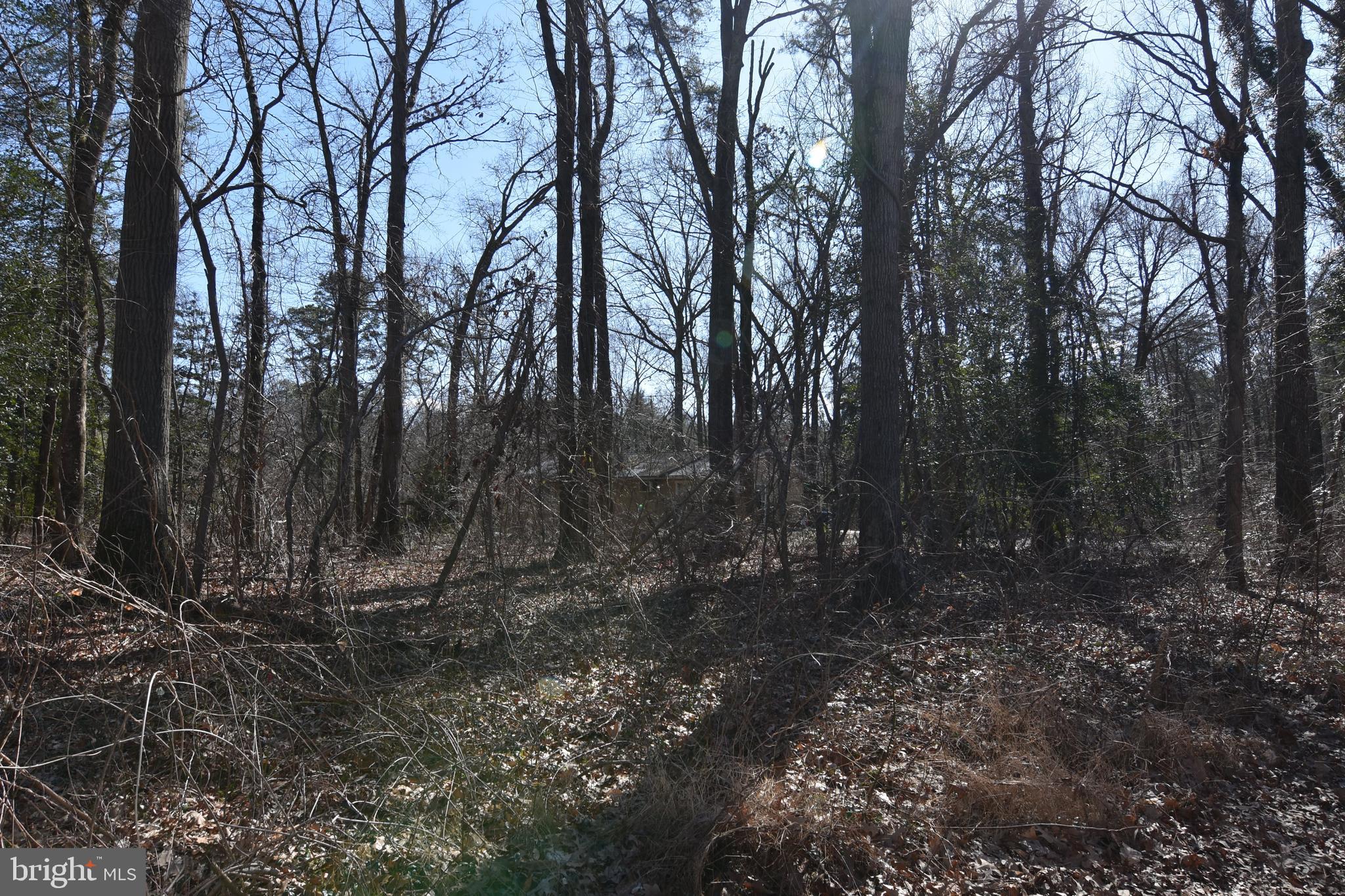 91 Beacrane Road Pasadena, MD 21122 - Photo 10 of 15 Gallery Image 10