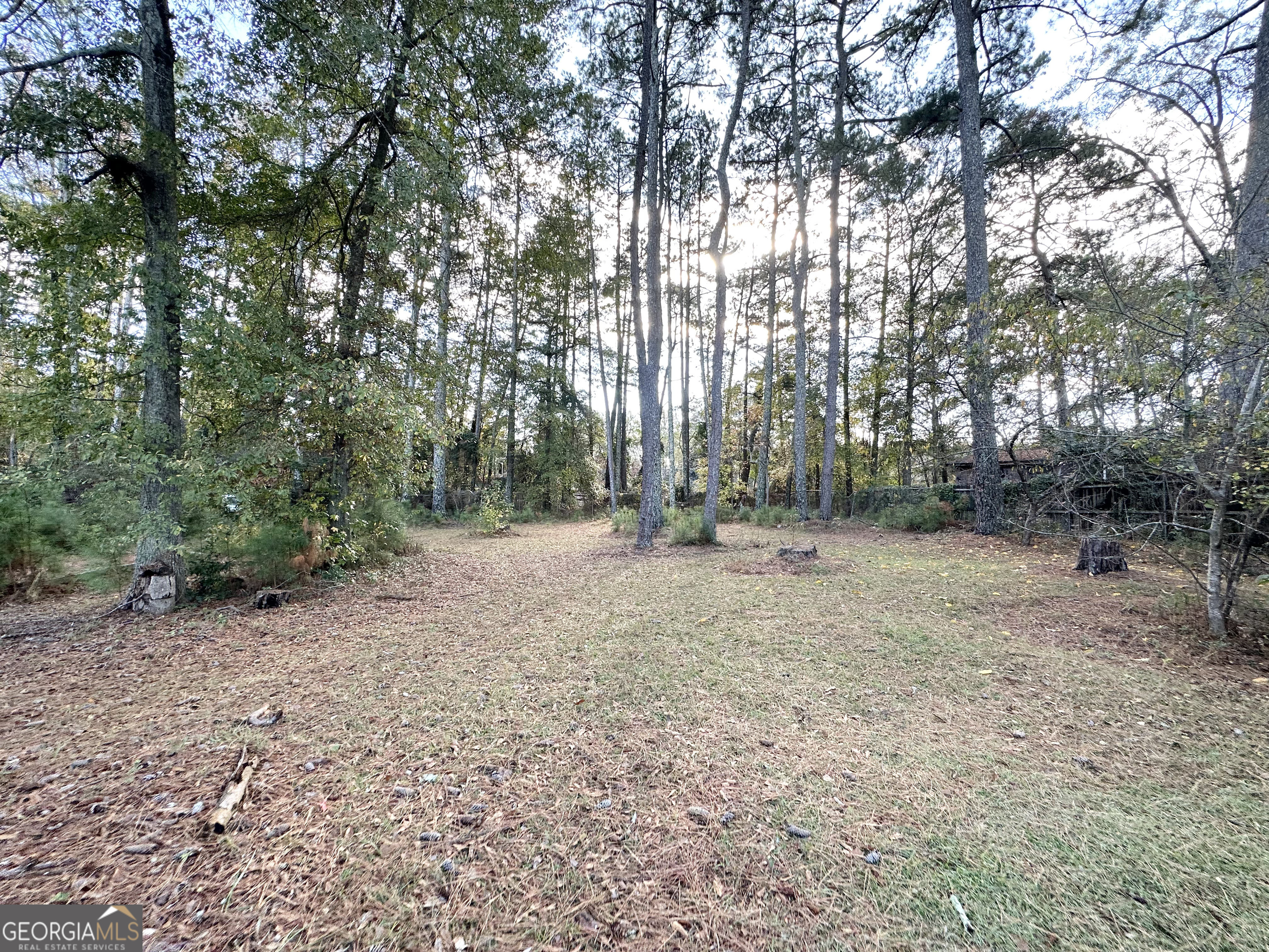 7125 Rhodes Street Lithonia, GA 30058 - Photo 29 of 30 a view of backyard with green space
