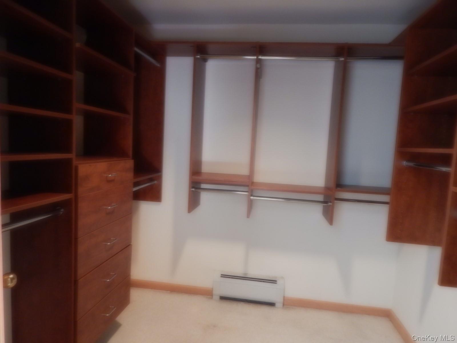 5 Eagle Head Road Cornwall-on-Hudson, NY 12520 - Photo 10 of 24 First floor bedroom's walk in closet with a baseboard heating unit and light colored carpet