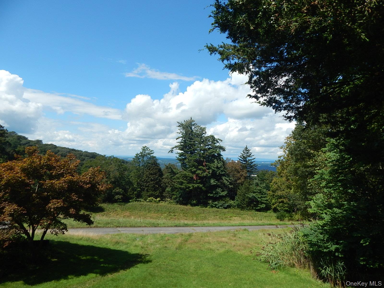 5 Eagle Head Road Cornwall-on-Hudson, NY 12520 - Photo 22 of 24 View of yard with a view of trees