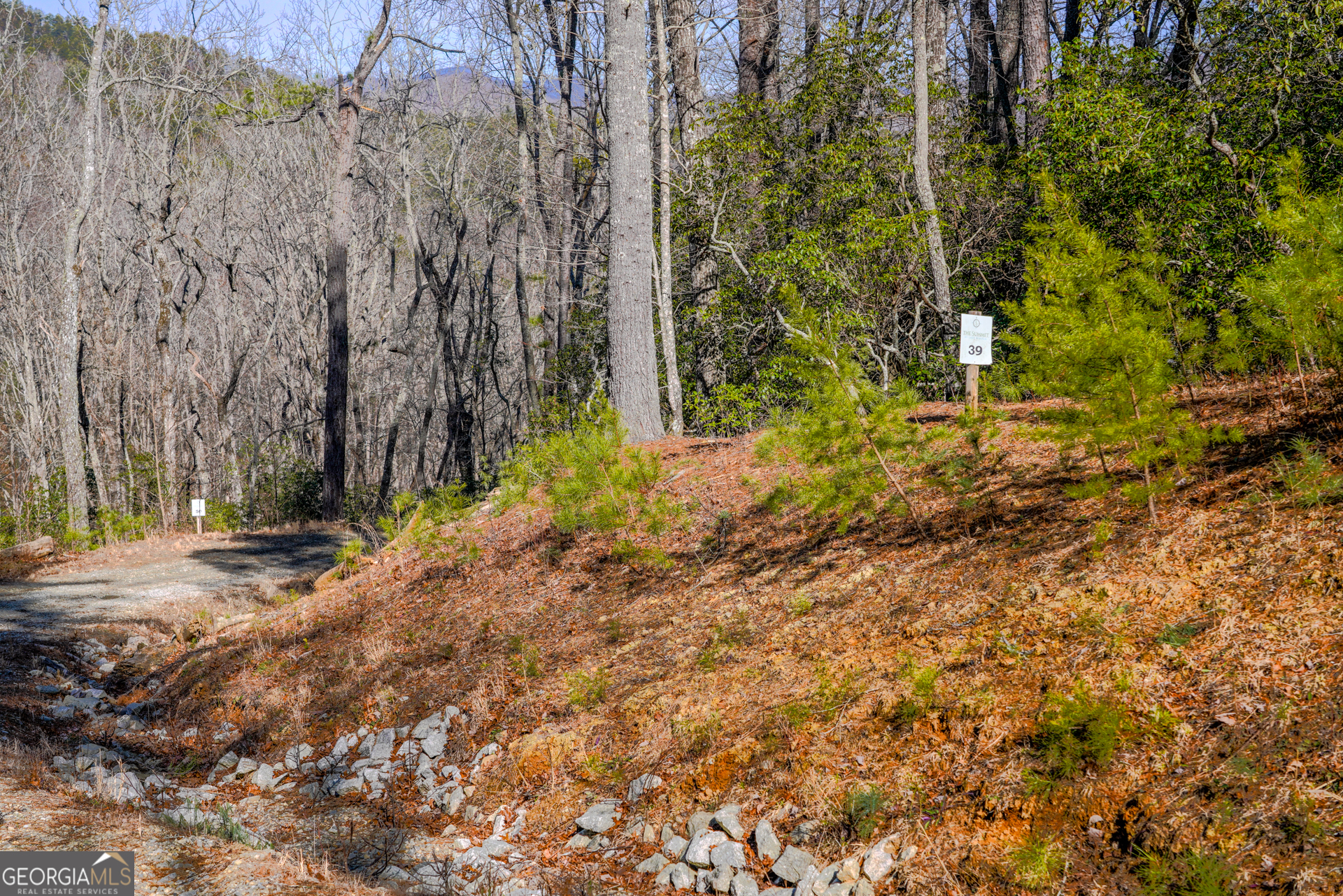 0 Ivy Rdg Way, Unit LOT 39 Clarkesville, GA 30523 - Photo 2 of 6