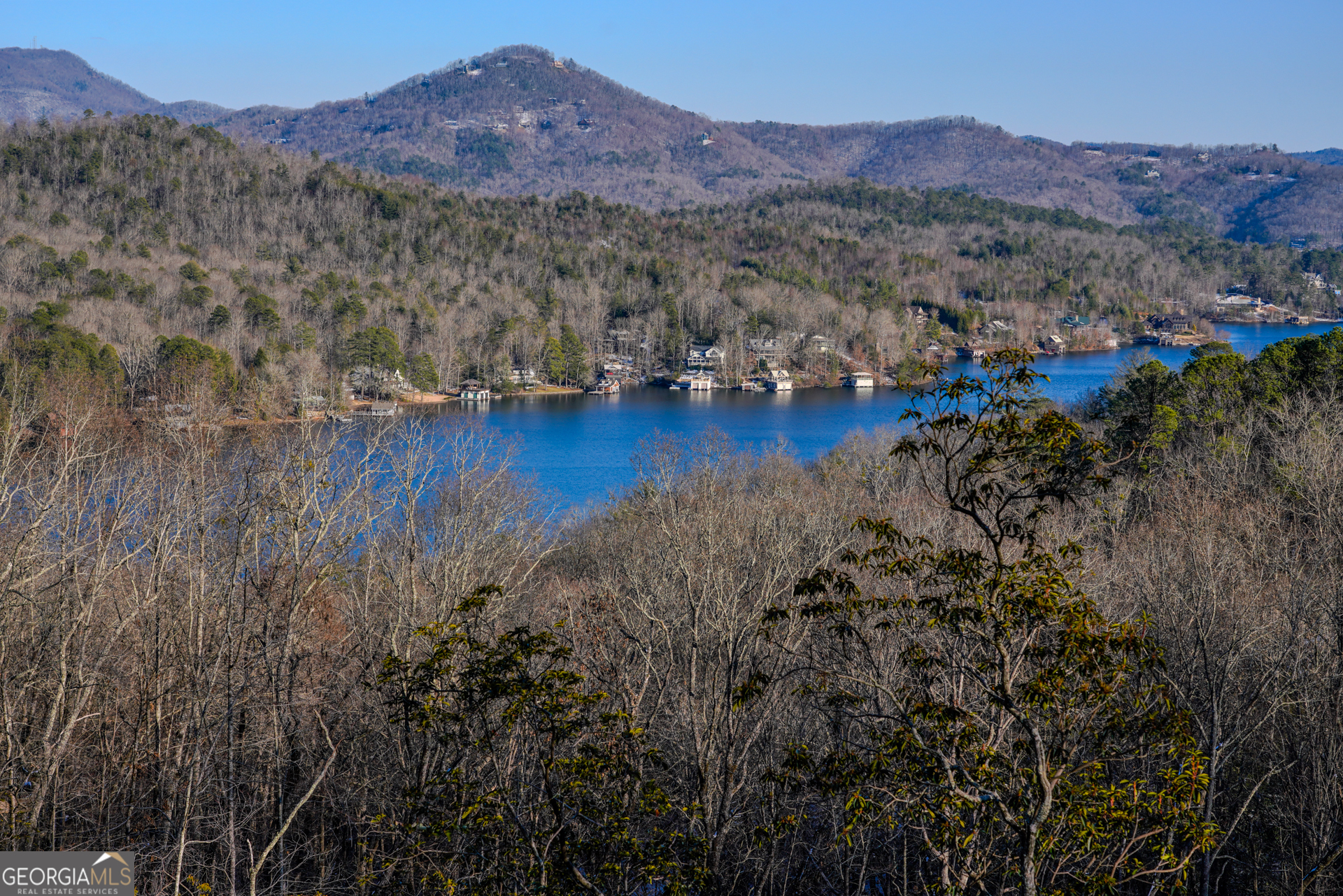 0 Ivy Rdg Way, Unit LOT 39 Clarkesville, GA 30523 - Photo 3 of 6