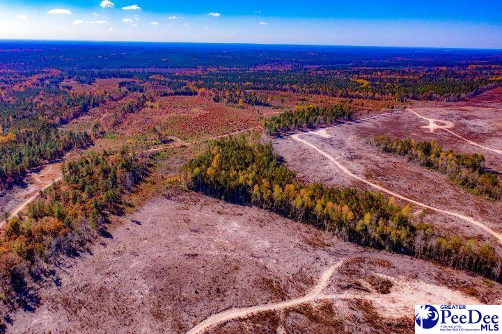 Gun-o-field Road Wallace, SC 29596 - Photo 21 of 27 Gallery Image 21
