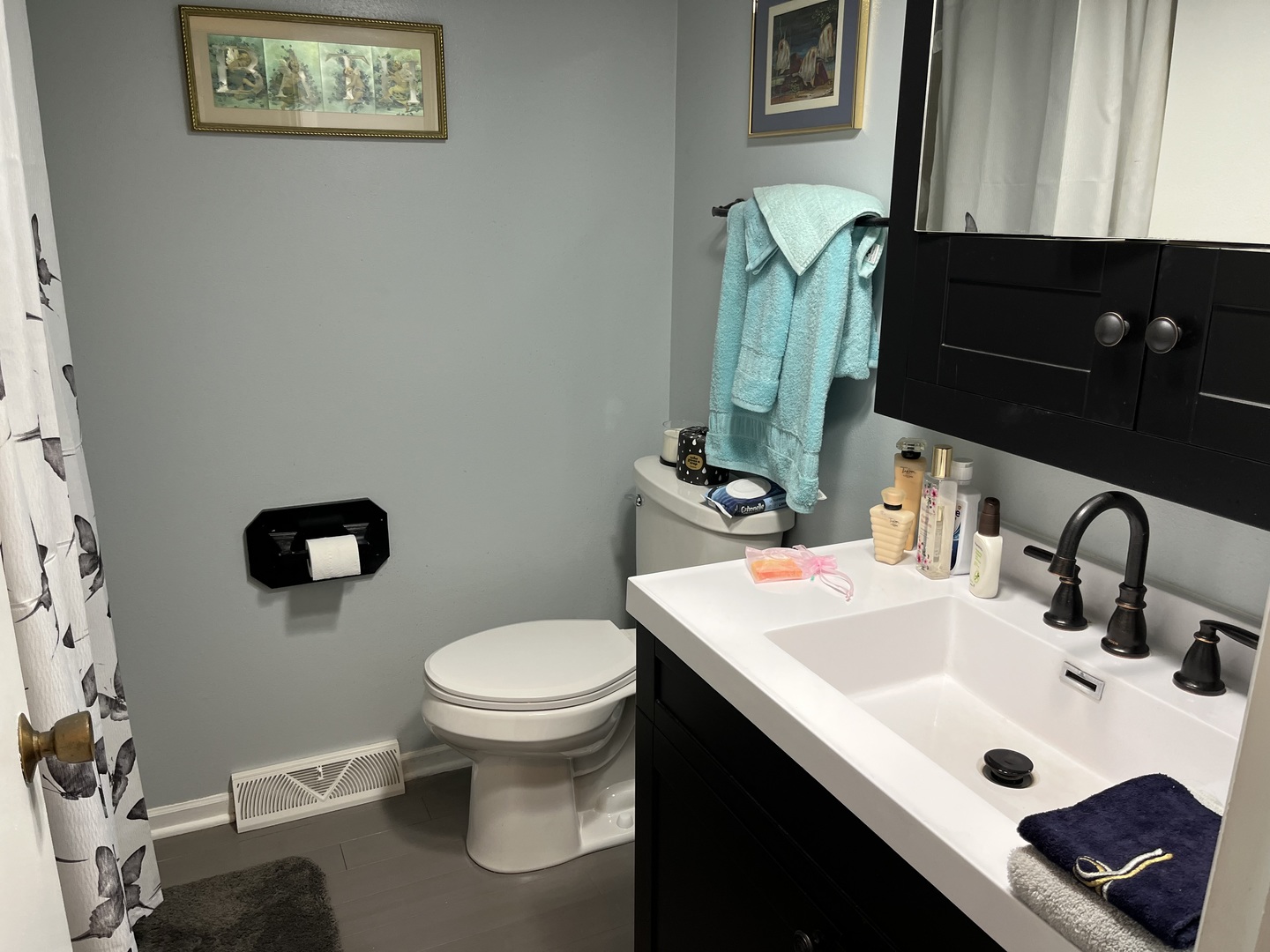 213 School Avenue Rochelle, IL 61068 - Photo 17 of 26 a bathroom with a sink and a toilet