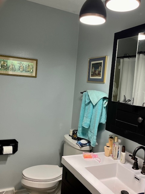 213 School Avenue Rochelle, IL 61068 - Photo 18 of 26 a bathroom with a sink mirror vanity and toilet