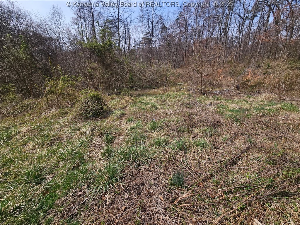 354 Dutch Hollow Road Dunbar, WV 25064 - Photo 4 of 10 Gallery Image 4