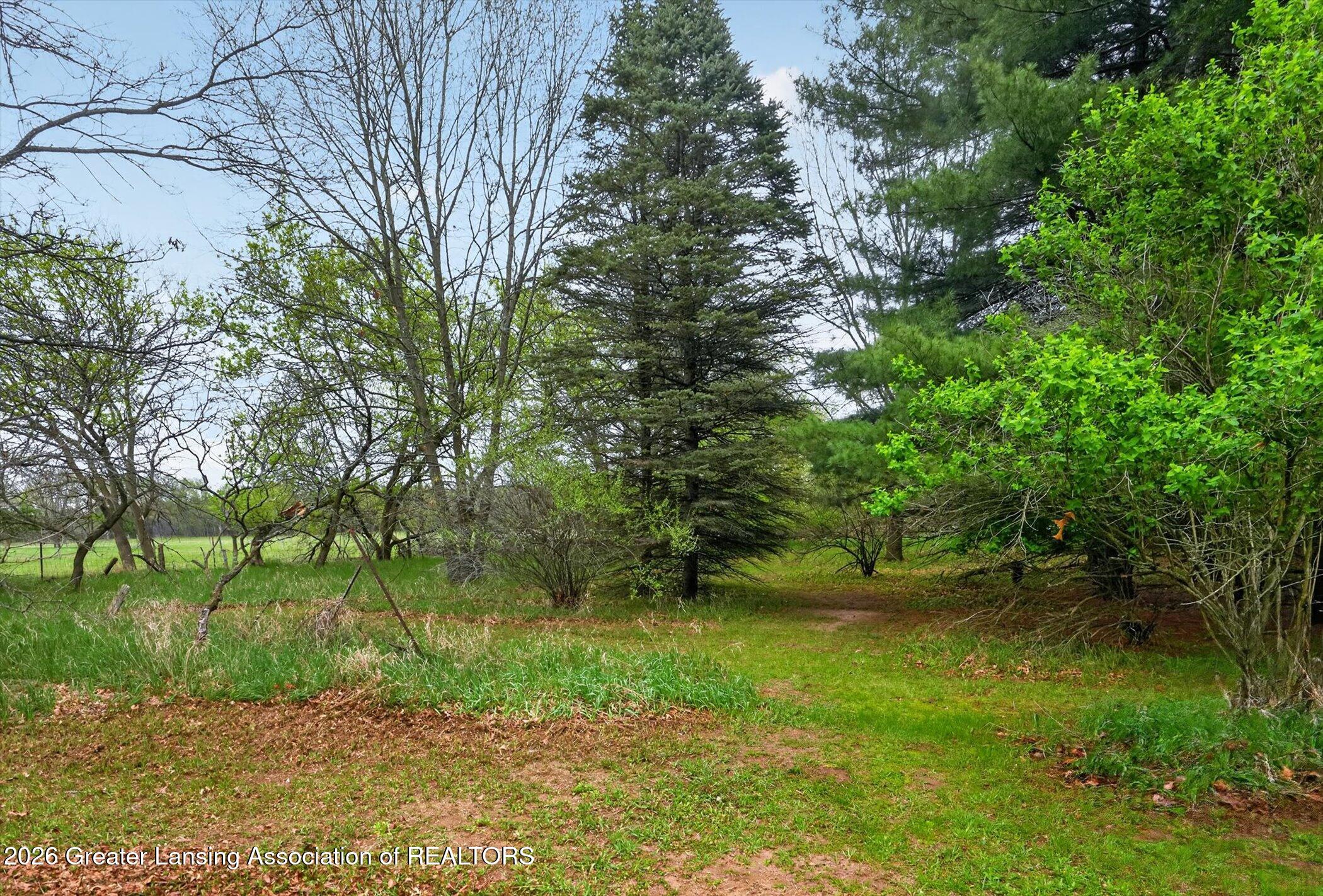 6834 North Wacousta Road Fowler, MI 48835 - Photo 34 of 51 34-6834-N-Wacousta-Rd-WindowStill-Photog