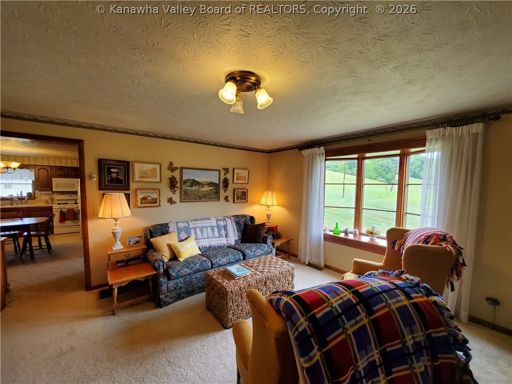 5153 Hartley Run Road Le Roy, WV 25252 - Photo 36 of 46 Gallery Image 36
