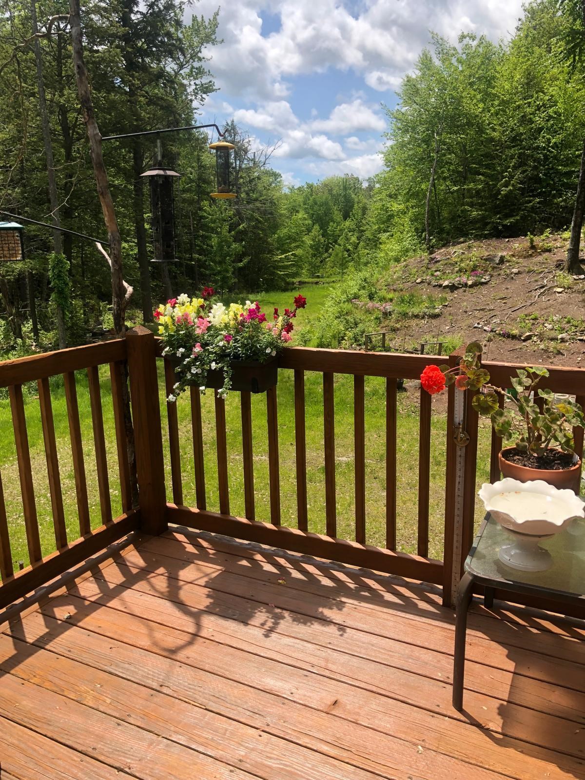 487 Shackford Corner Road Barnstead, NH 03225 - Photo 15 of 59