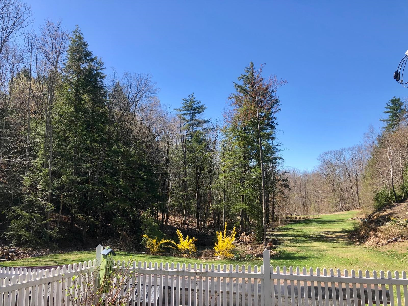 487 Shackford Corner Road Barnstead, NH 03225 - Photo 35 of 59