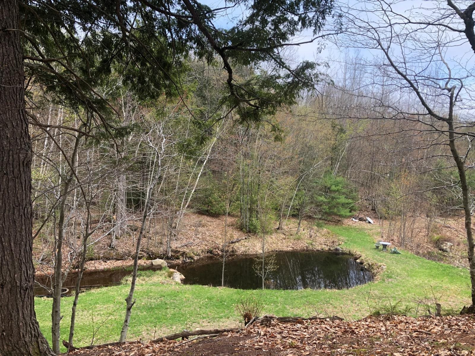 487 Shackford Corner Road Barnstead, NH 03225 - Photo 52 of 59