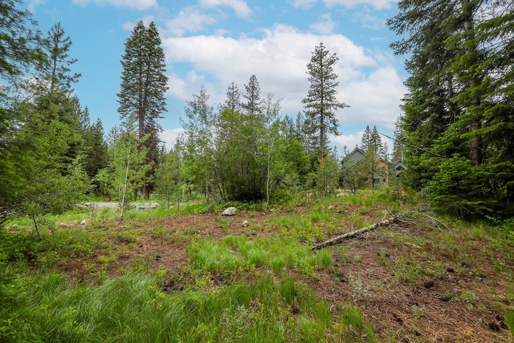 431 Timbercrest Loop, Unit 4 McCall, ID 83638 - Photo 18 of 28