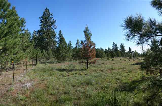 0 South Plymouth Road Spokane, WA 99224 - Photo 3 of 6 Gallery Image 3