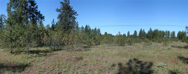 0 South Plymouth Road Spokane, WA 99224 - Photo 4 of 6 Gallery Image 4