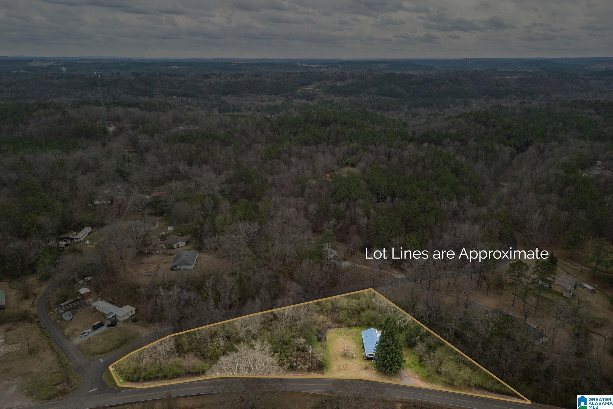 6074 Flat Top Road Dora, AL 35062 - Photo 29 of 32
