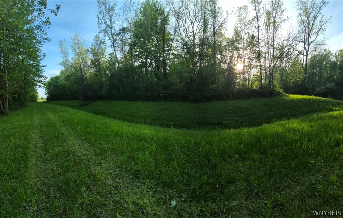 7860 Ditch Road Hartland, NY 14067 - Photo 4 of 7