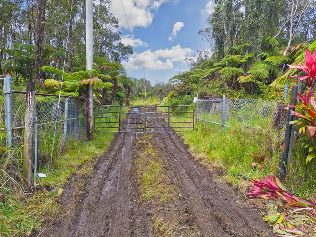 a view of a yard with plants