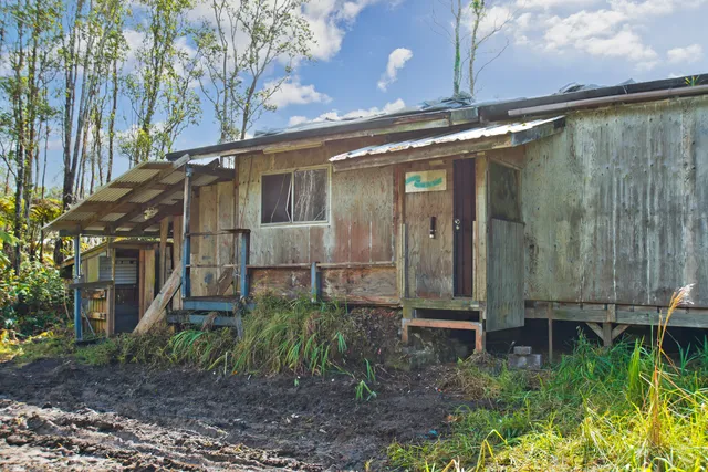 a view of a yard with plants and a houses
