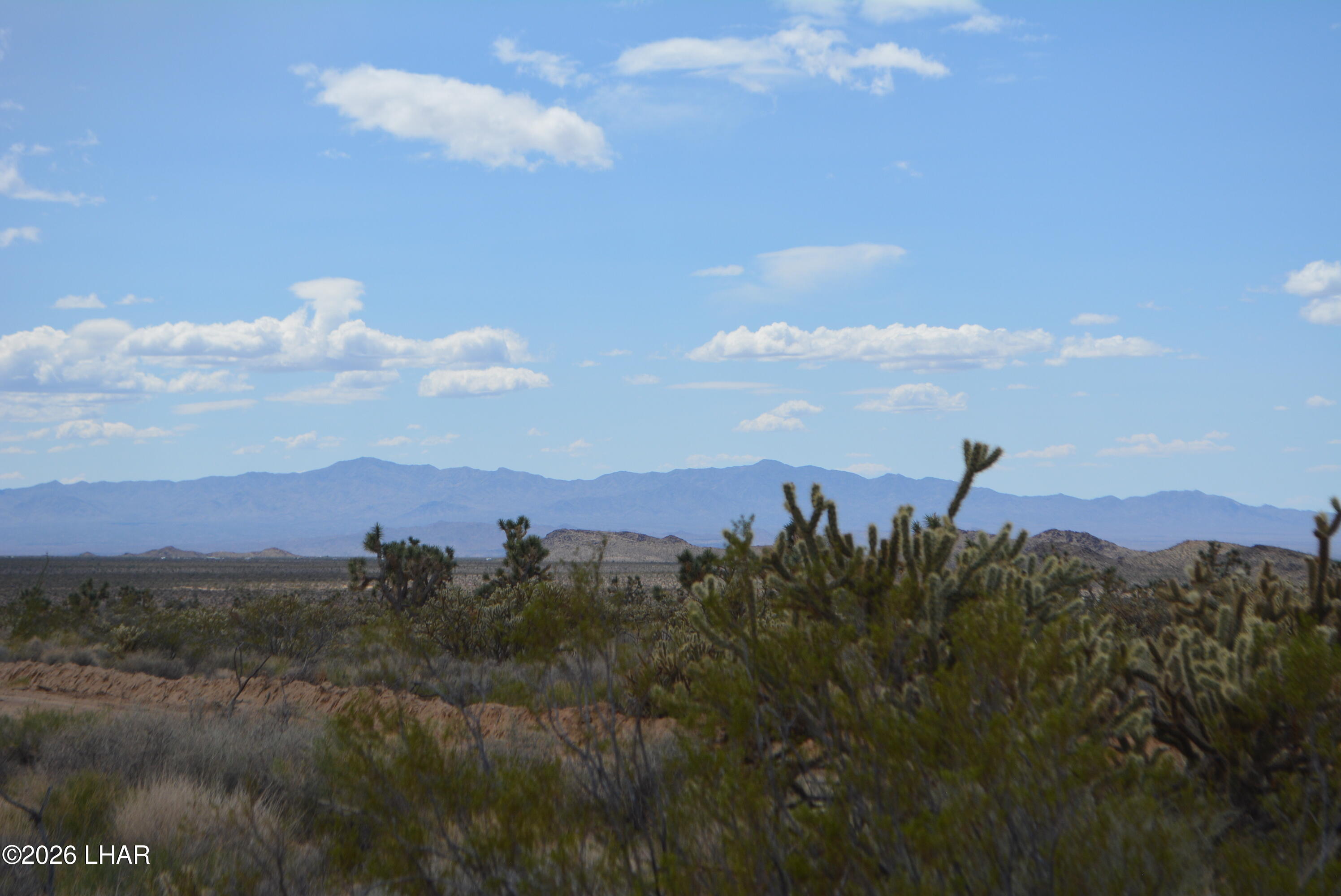 11900 Alan Road Yucca, AZ 86438 - Photo 84 of 93 DSC_1390