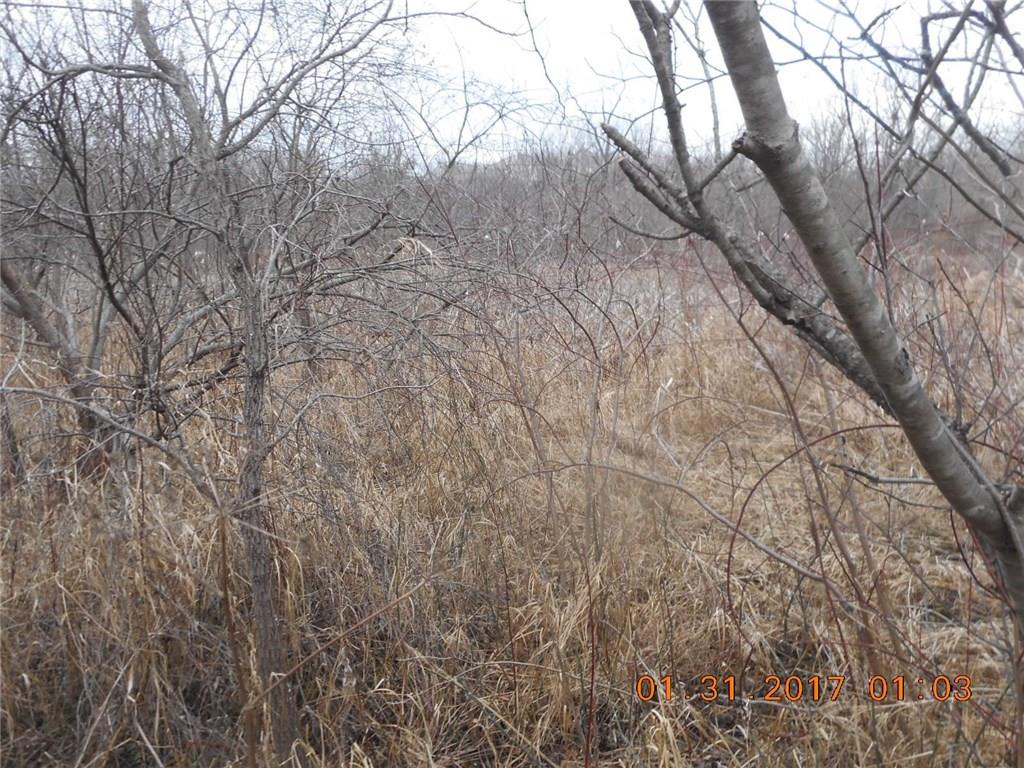 8155 South Mill Road Knightstown, IN 46148 - Photo 3 of 9