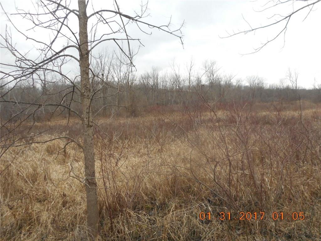 8155 South Mill Road Knightstown, IN 46148 - Photo 6 of 9