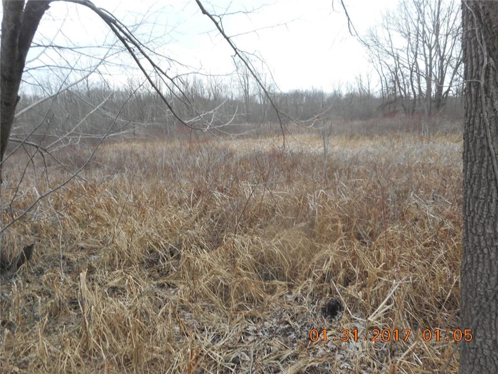 8155 South Mill Road Knightstown, IN 46148 - Photo 7 of 9