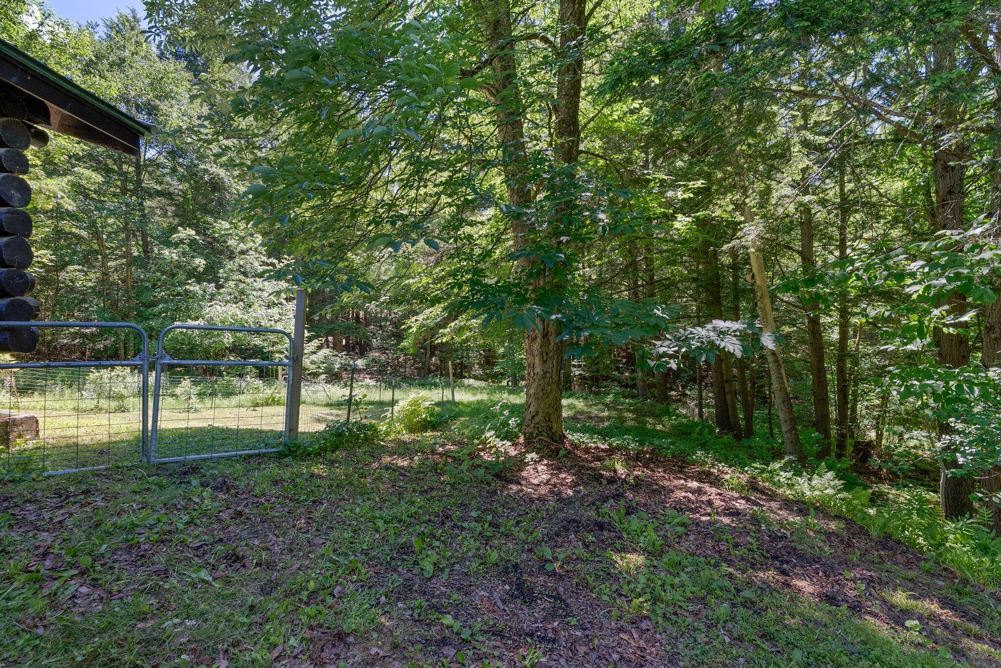 22 Montgomery Road Windham, ME 04062 - Photo 51 of 82 18_DSC00184 copy