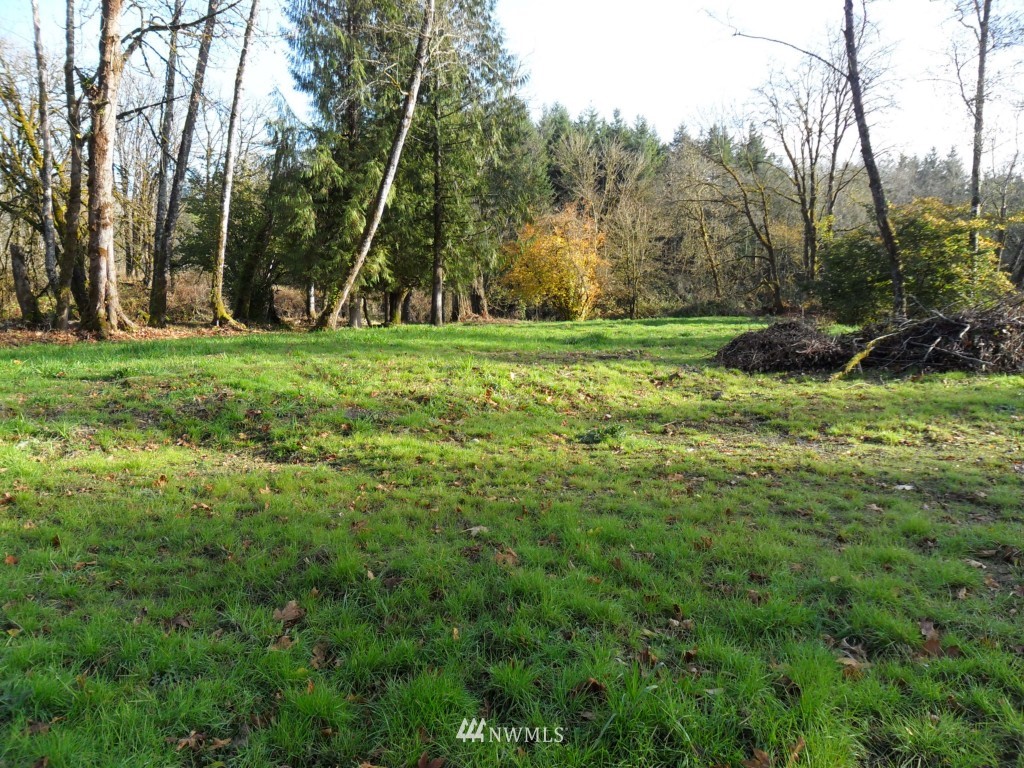 -xxx Xxx Hining Road Winlock, WA 98596 - Photo 1 of 5