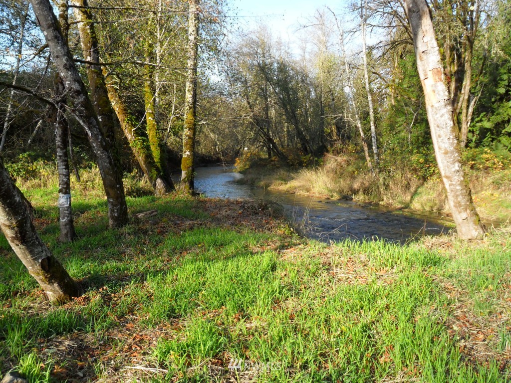 -xxx Xxx Hining Road Winlock, WA 98596 - Photo 2 of 5
