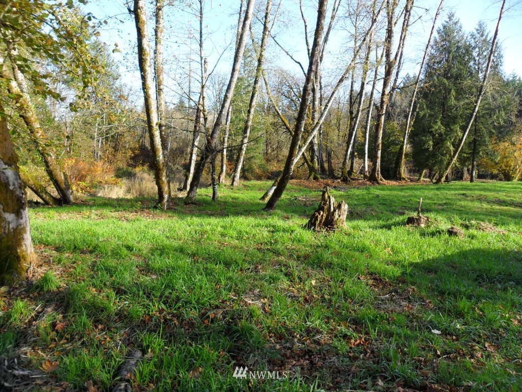-xxx Xxx Hining Road Winlock, WA 98596 - Photo 3 of 5