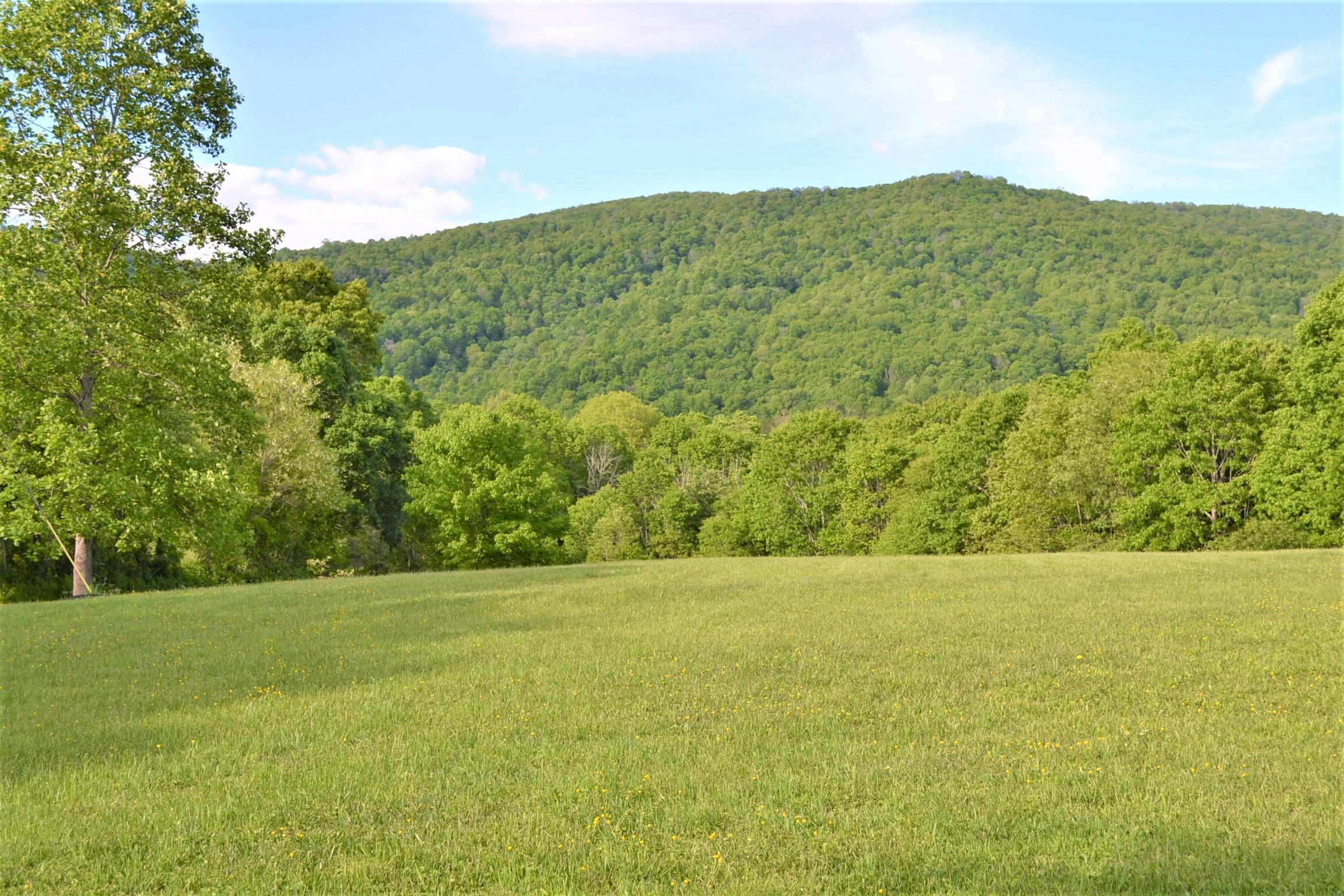 1640 Julia Road Renick, WV 24966 - Photo 25 of 77 Gallery Image 25
