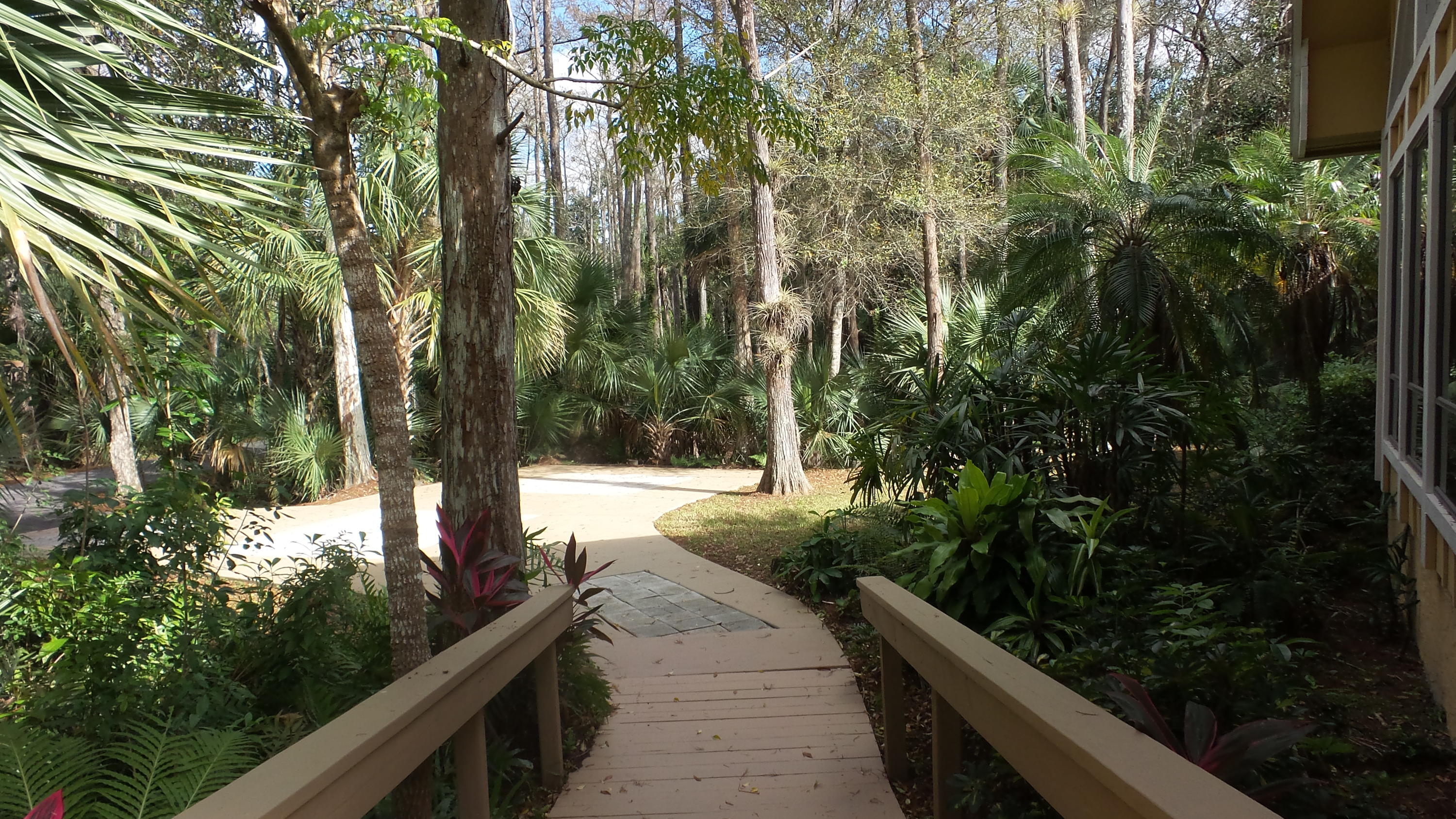 11154 Sandy Run Road Jupiter, FL 33478 - Photo 33 of 45 20161204_124234