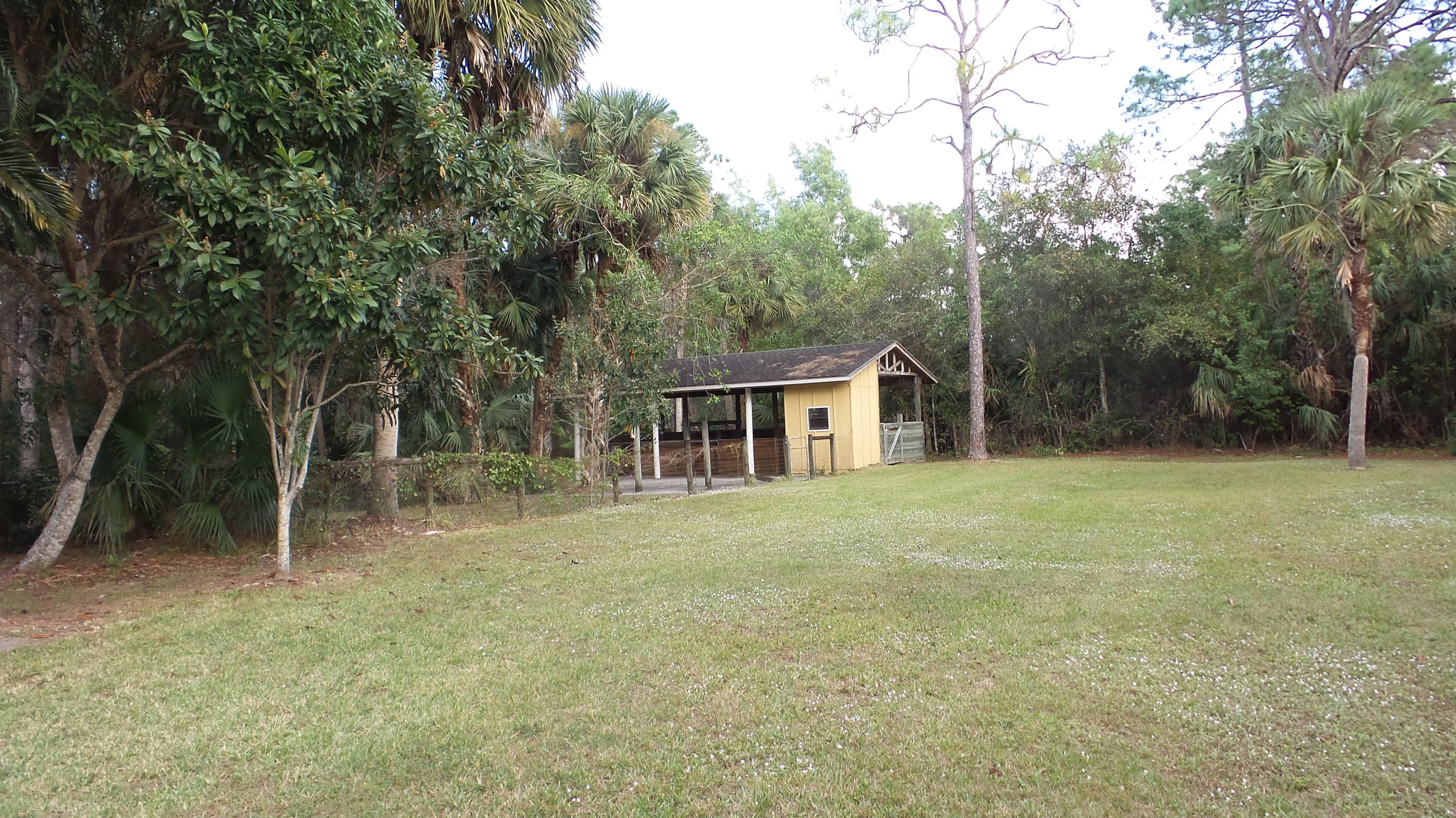 11154 Sandy Run Road Jupiter, FL 33478 - Photo 43 of 45 20161204_135416