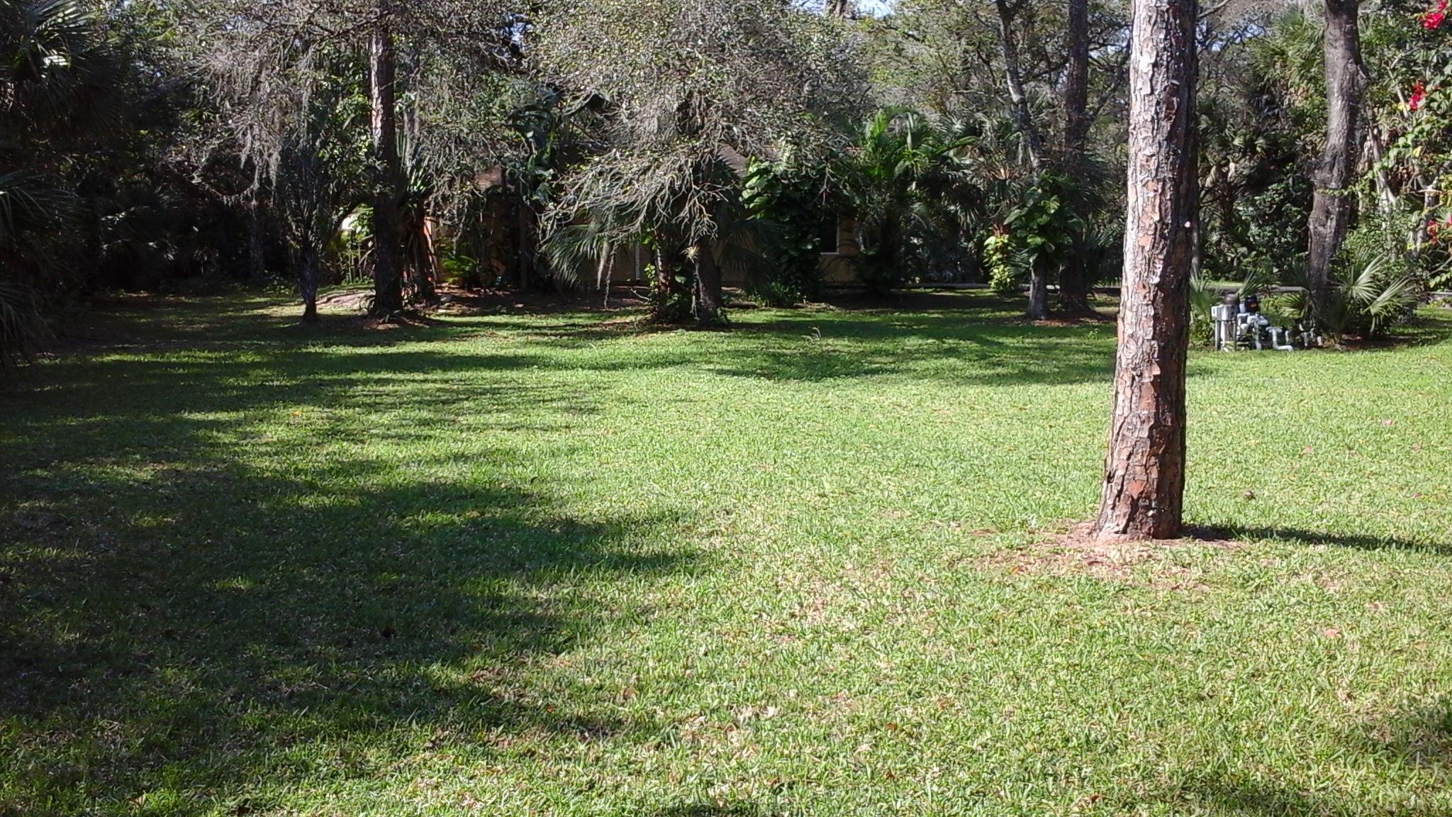 11154 Sandy Run Road Jupiter, FL 33478 - Photo 44 of 45 jupiterbackyard