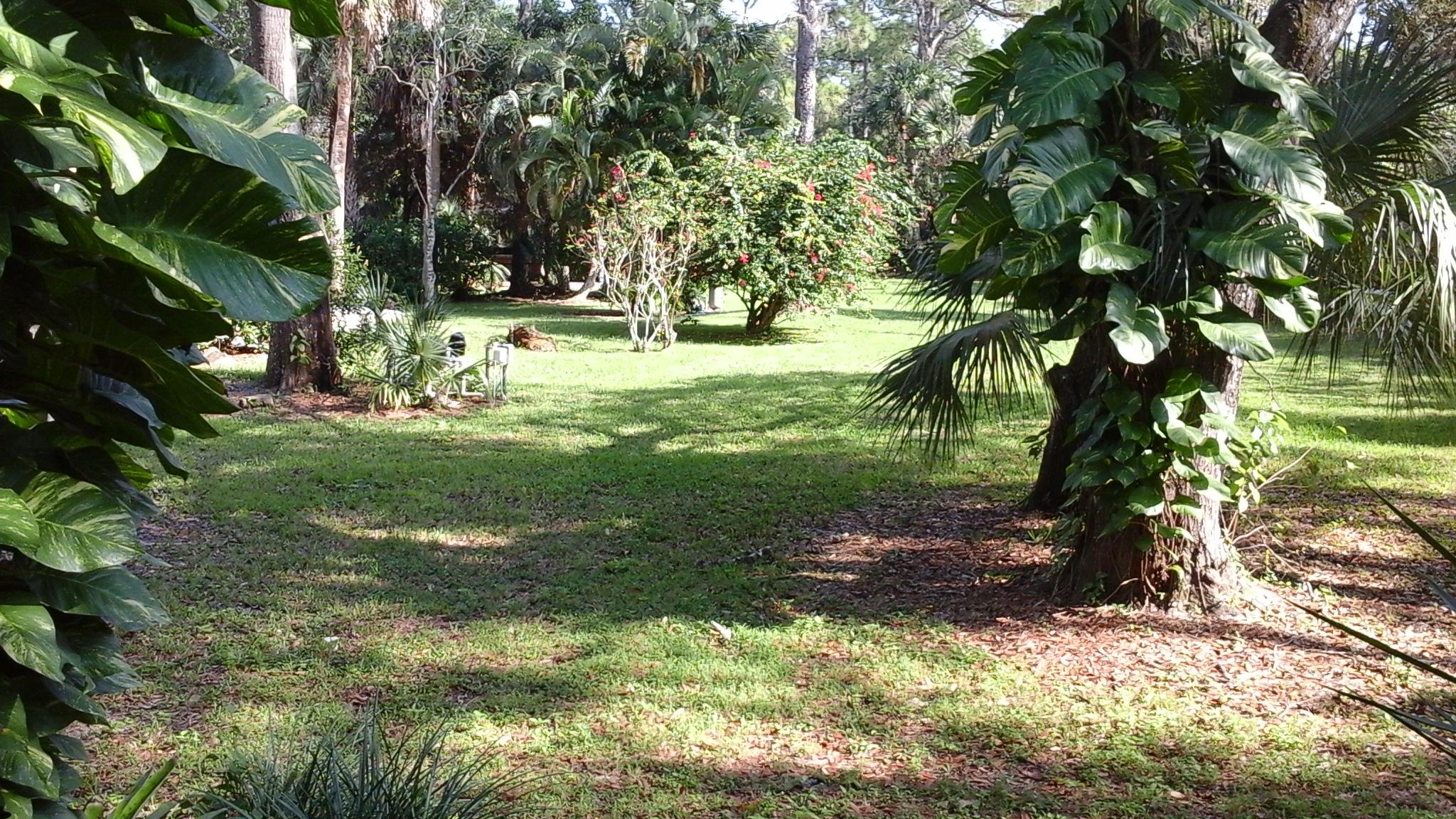 11154 Sandy Run Road Jupiter, FL 33478 - Photo 45 of 45 jupiterbackyaedwide