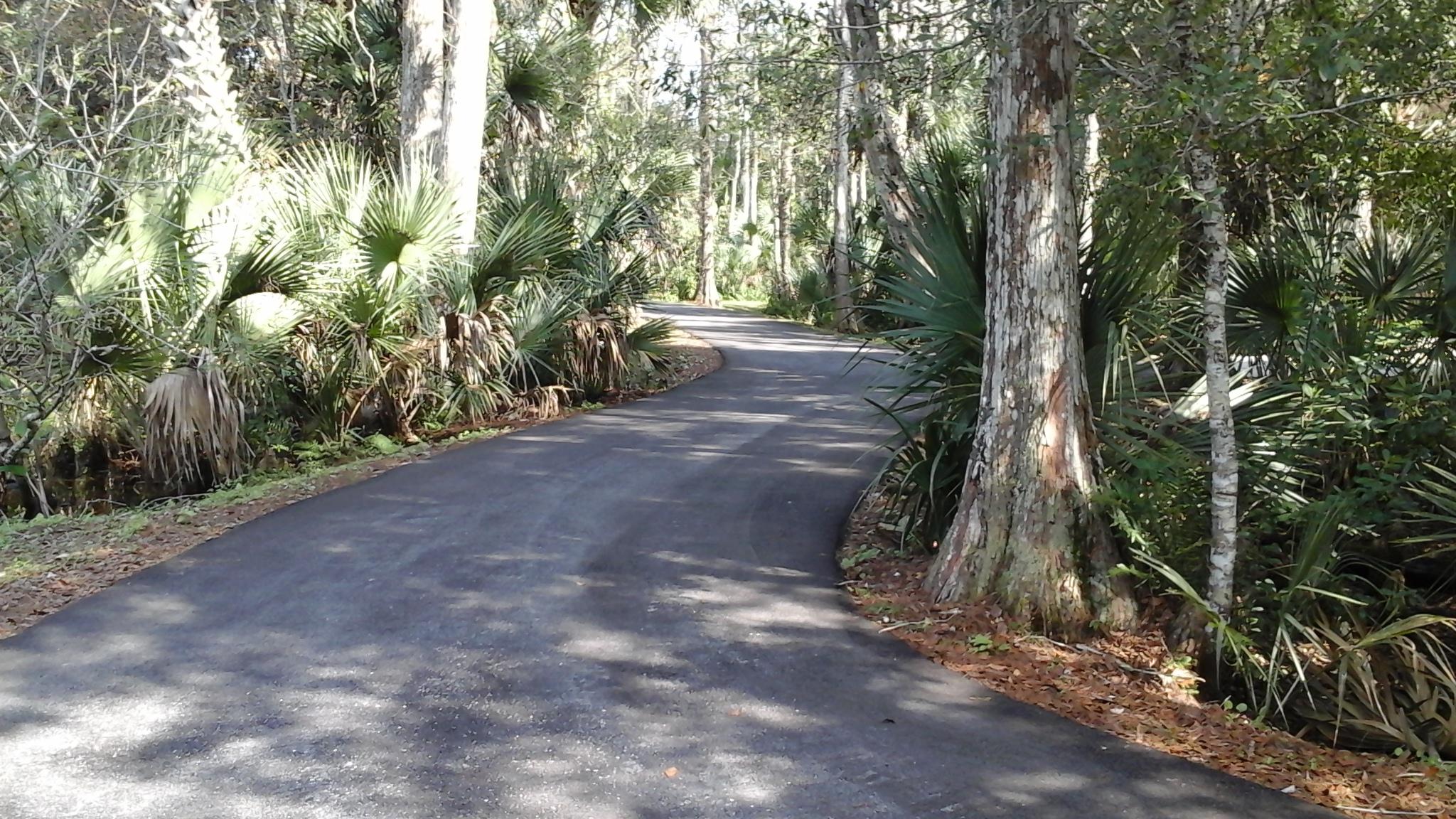 11154 Sandy Run Road Jupiter, FL 33478 - Photo 5 of 45 jupiterdrivewideway