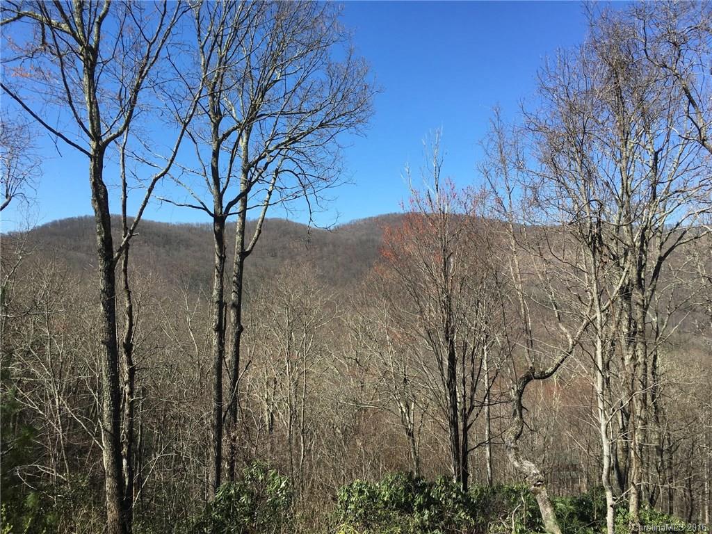 110 Bryant Road Swannanoa, NC 28778 - Photo 2 of 21 Gallery Image 2