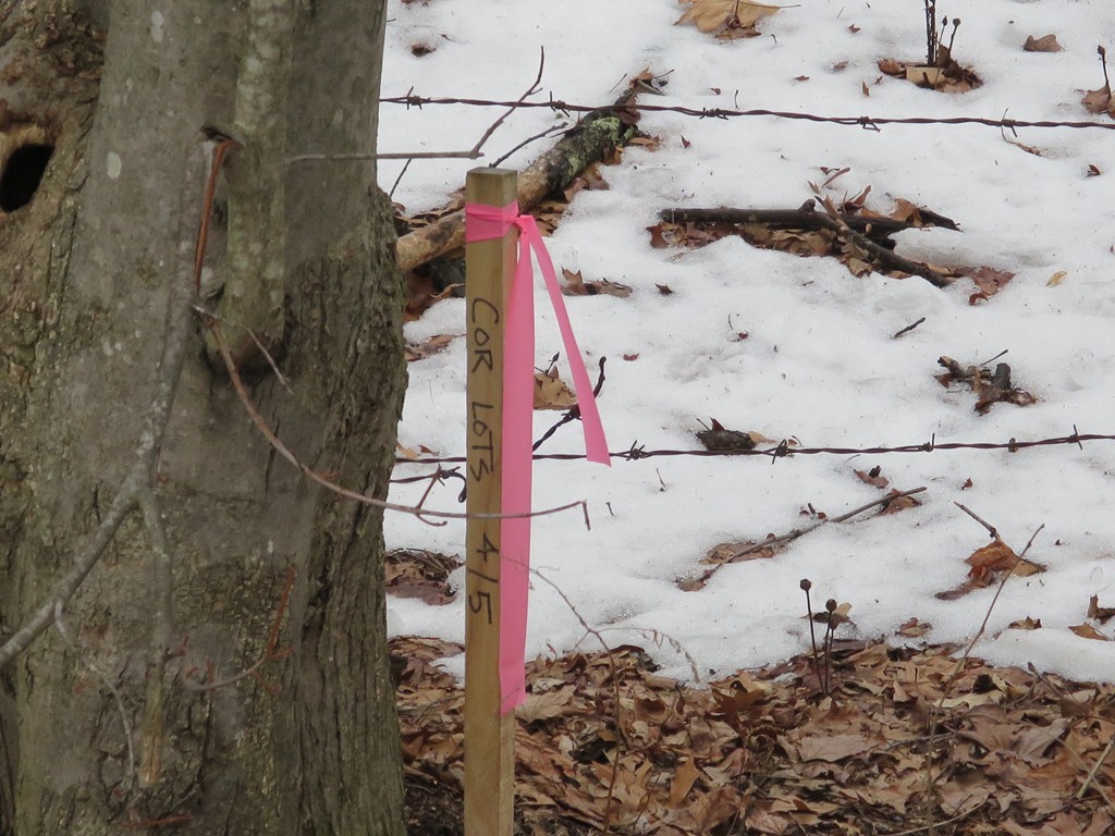 Lot 4 Bogan Road Monson, MA 01057 - Photo 7 of 11 Gallery Image 7