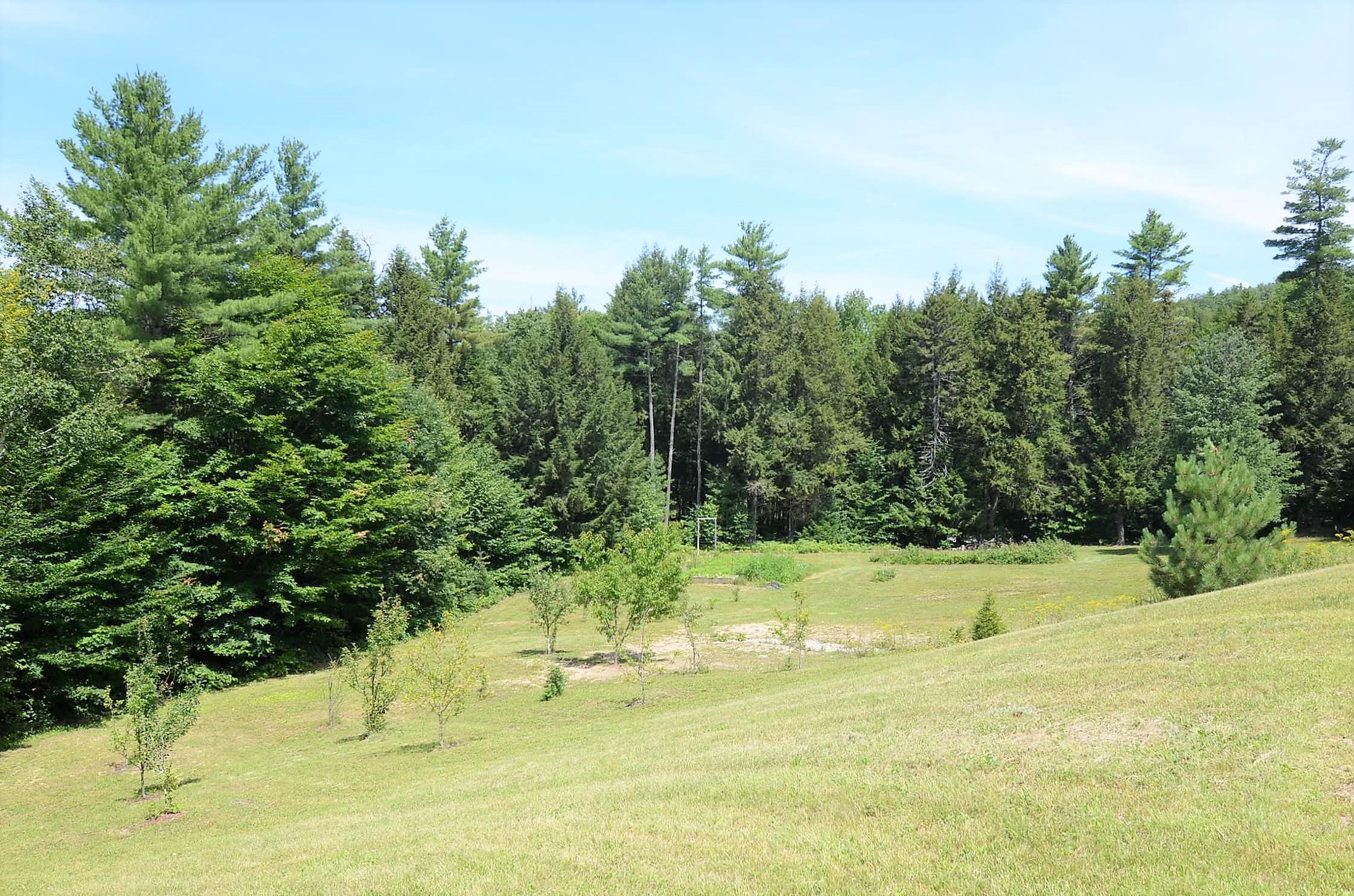 35 Mummery Road East Goshen, NH 03752 - Photo 3 of 25