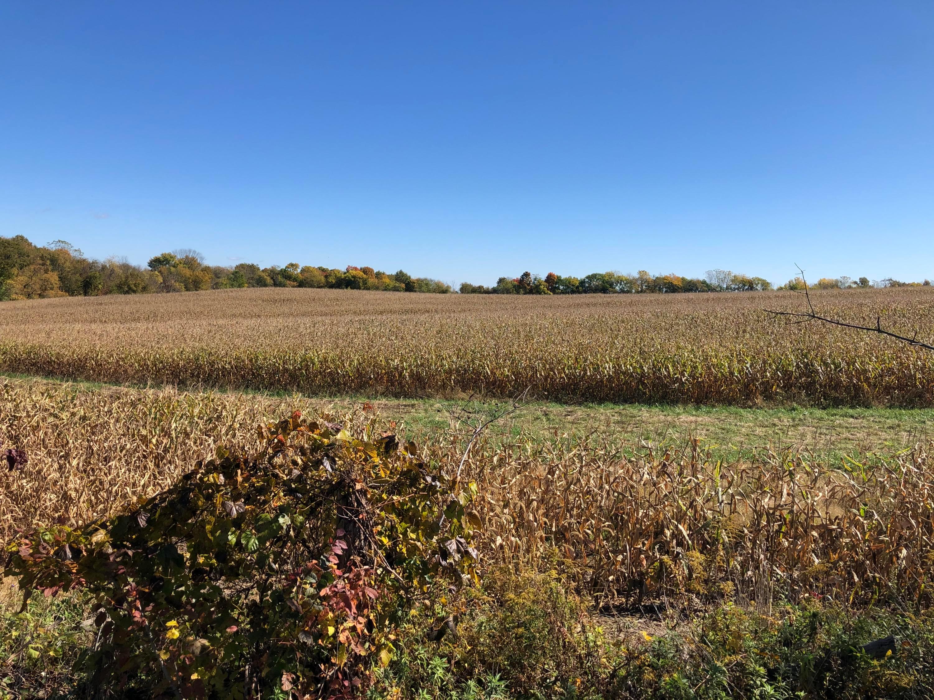 0 Dunham Road Mount Vernon, OH 43050 - Photo 1 of 12