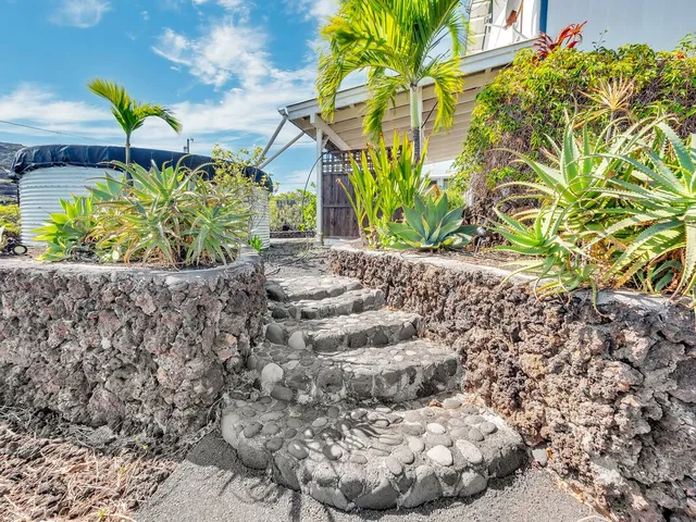 a city view with large trees