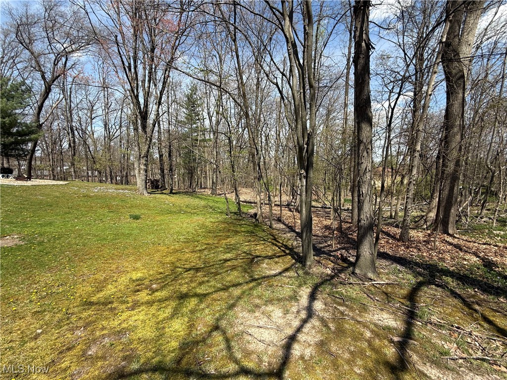 Whitewood Road Brecksville, OH 44141 - Photo 2 of 3 View of yard