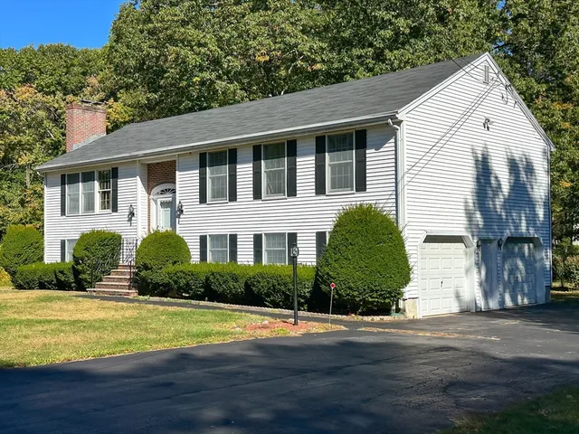 a view of a yard with plants