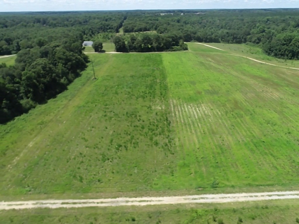 16-ac 16-ac National Road Dothan, AL 36301 - Photo 43 of 45