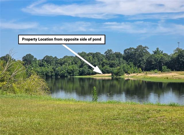Tbd Holdens Run Franklinton, LA 70438 - Photo 4 of 5
