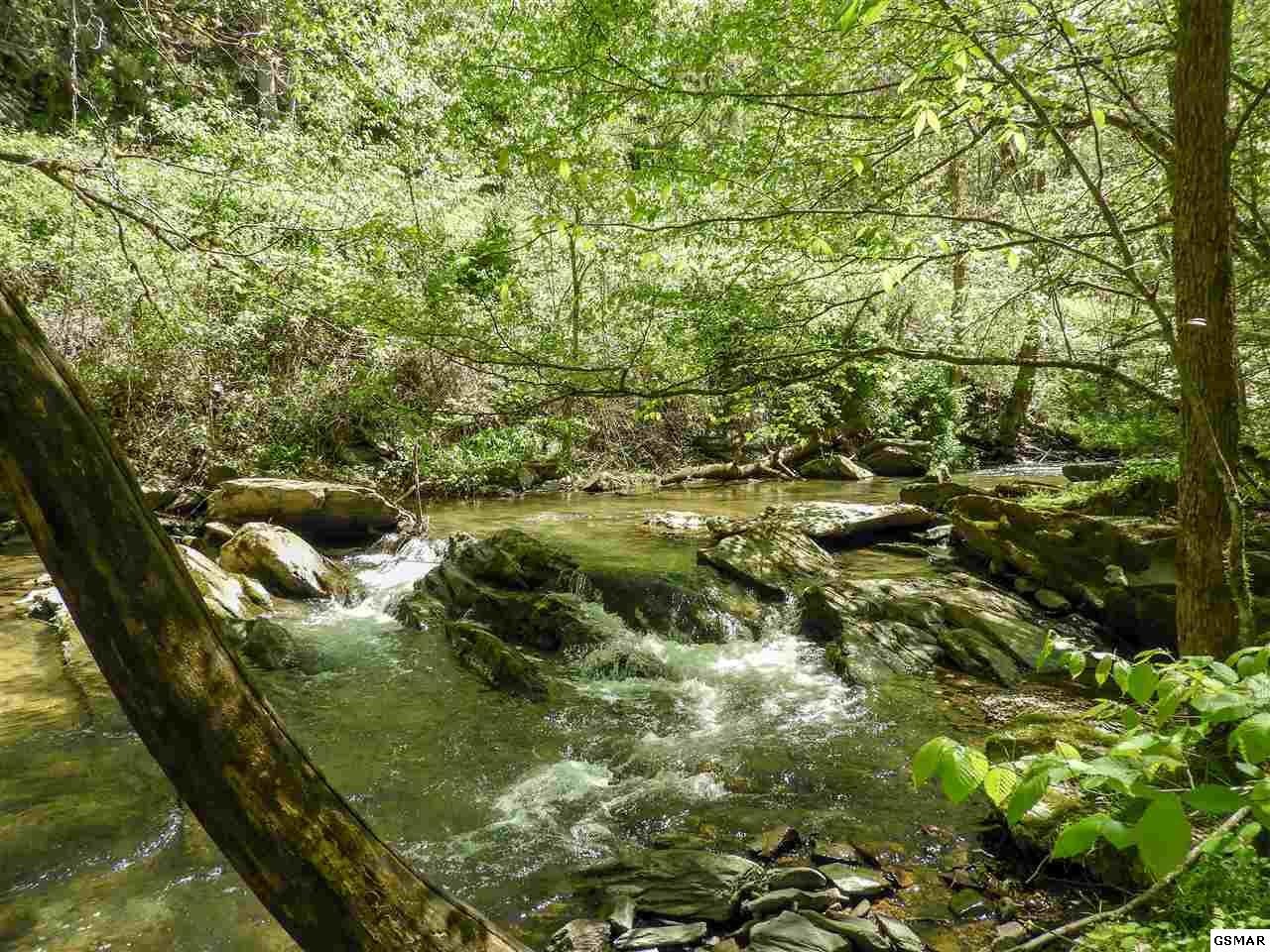 7 Old Birds Creek Road Sevierville, TN 37876 - Photo 8 of 15