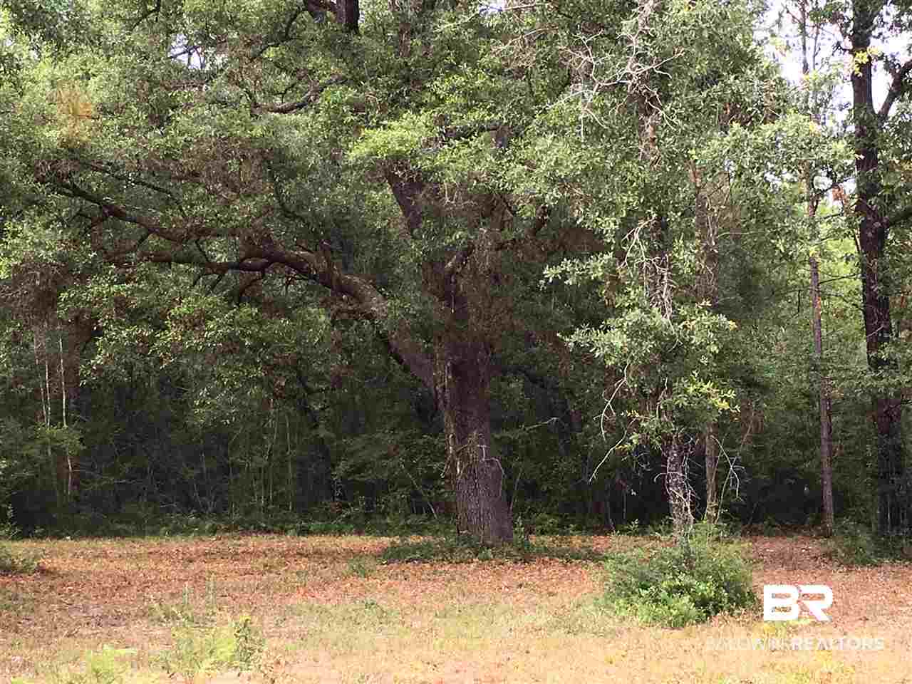 0 New Hope Church Road Robertsdale, AL 36567 - Photo 2 of 17