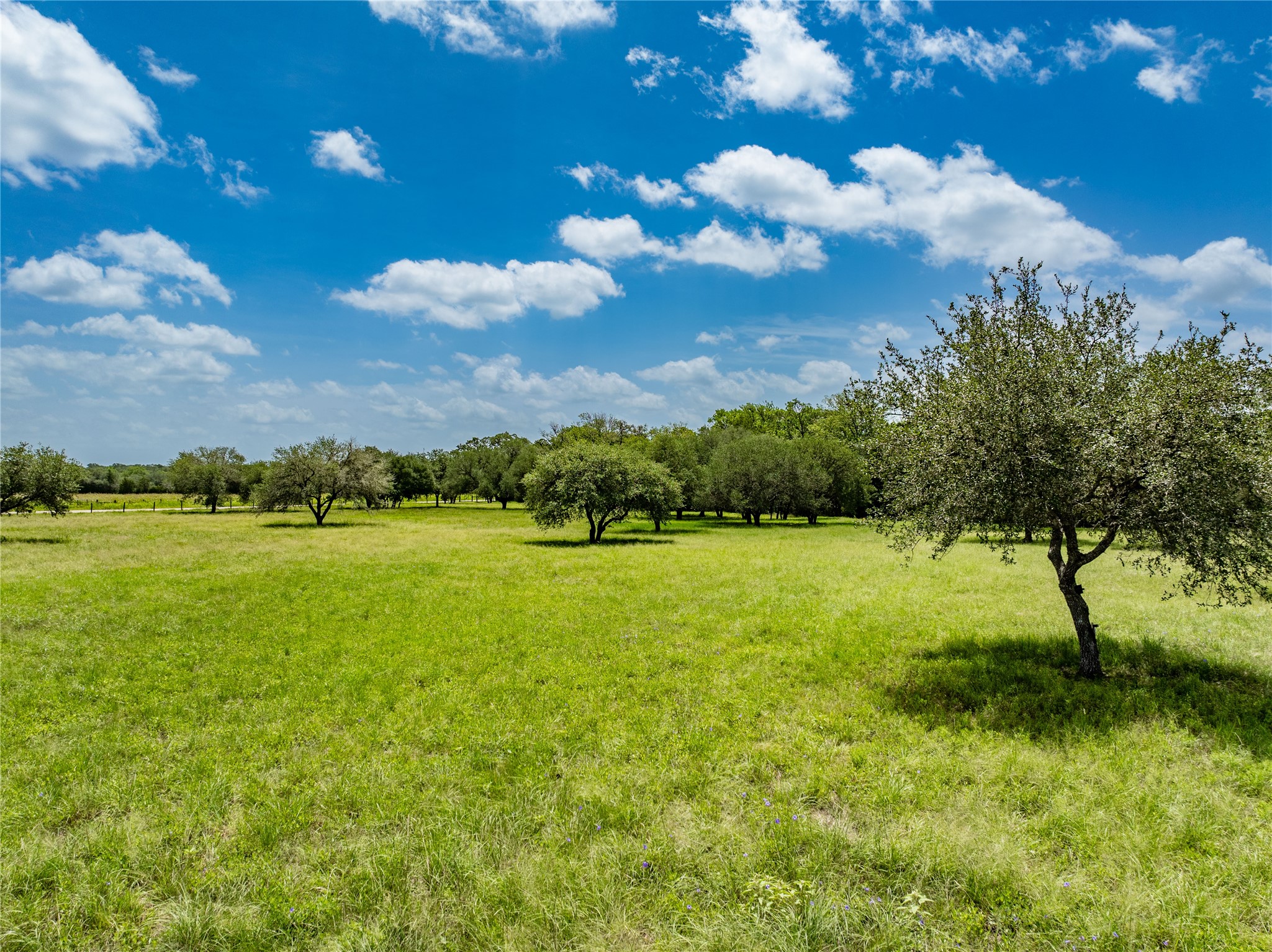 6800 Waldeck Cemetery Road Round Top, TX 78954 - Photo 2 of 8 a view of a lake view